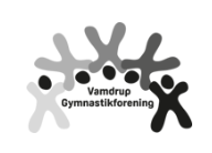 Vamdrup Gymnastikforening image